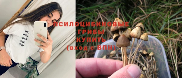 ешки Алзамай