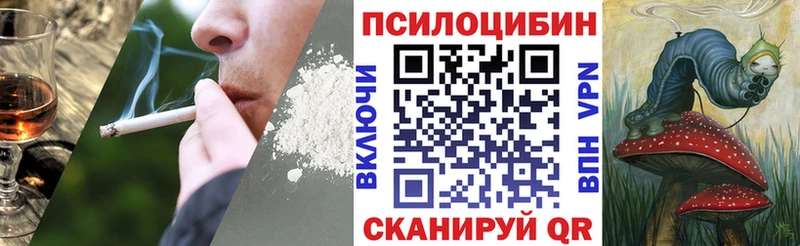 Псилоцибиновые грибы Magic Shrooms цены Поронайск